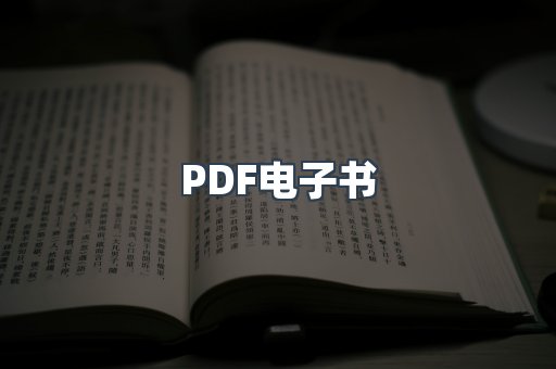PDF电子书